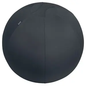 Leitz Ergo Active Sittboll med stoppfunktion 65cm mörkgrå