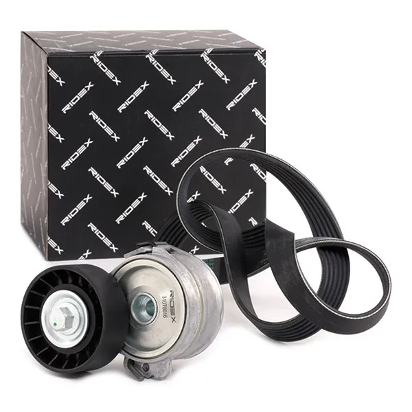 Drivremssats RIDEX 542R0150