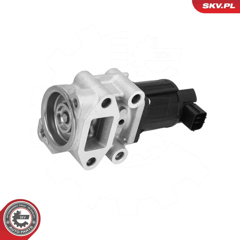 EGR-ventil ESEN SKV 14SKV300