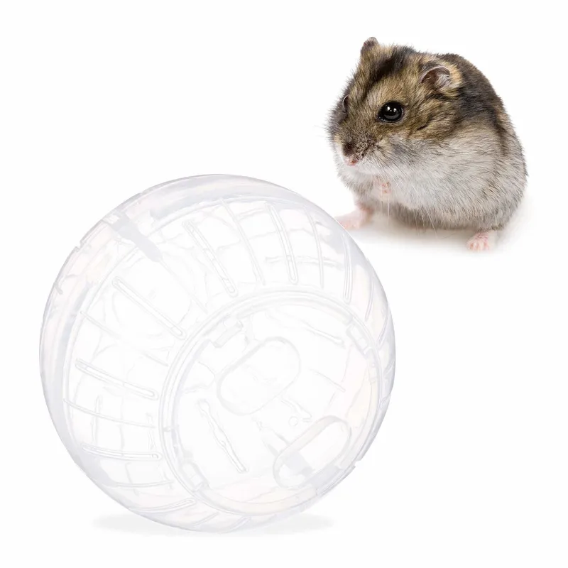 Hamsterboll transparent