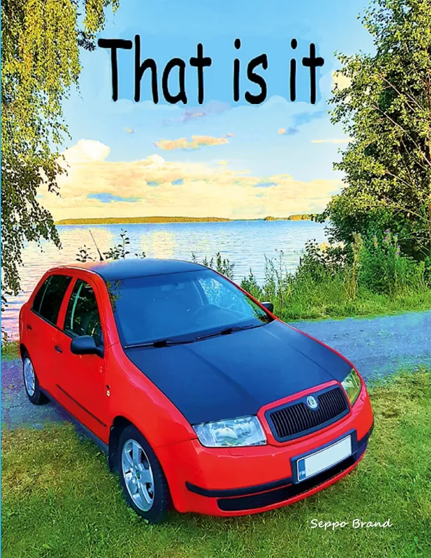 That is it, E-bok