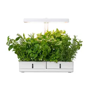 Airam - Växtbelysning Daisy - Växtbelysning - Vit