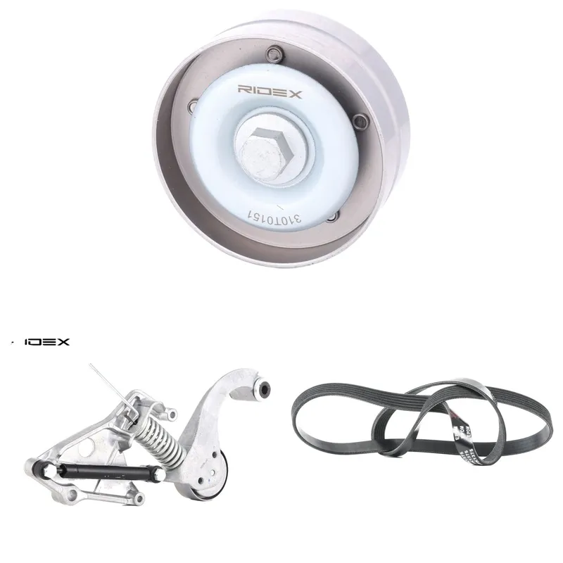 Drivremssats RIDEX 542R0975