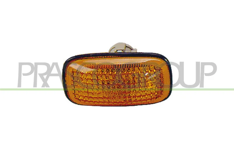 Blinker PRASCO DS4204139