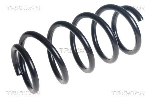 Spiralfjäder TRISCAN 8750 29532
