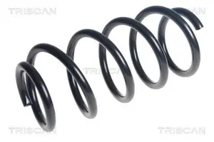 Spiralfjäder TRISCAN 8750 29532