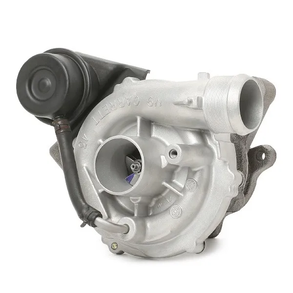 Turboaggregat RIDEX REMAN 2234C10010R
