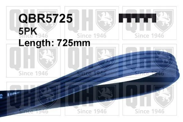 Multirem QUINTON HAZELL QBR5725
