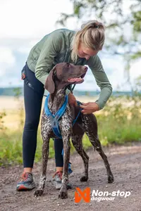 Line Harness 5.0 Hundsele Blå 4