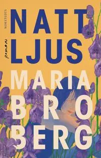Nattljus