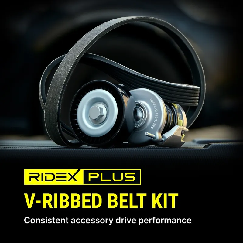 Drivremssats RIDEX PLUS 542R0020P