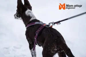 Line Harness 5.0 Hundsele Blå 4