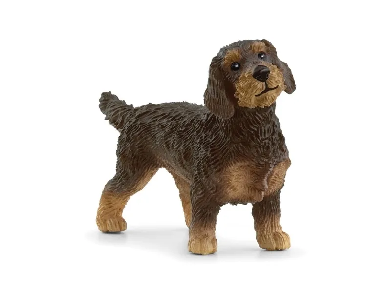 schleich® FARM WORLD Strävhårig Tax 13972 – Schleich – Leksaksaffären