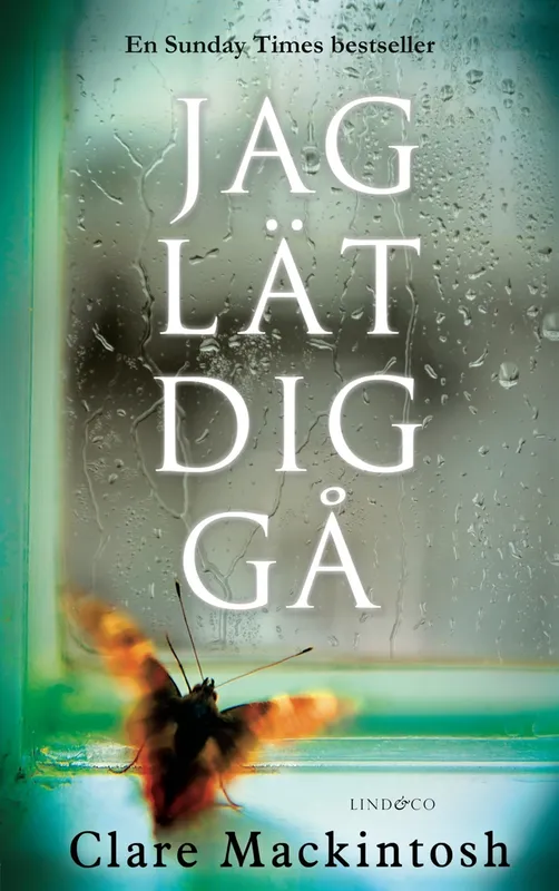 Jag lät dig gå, E-bok