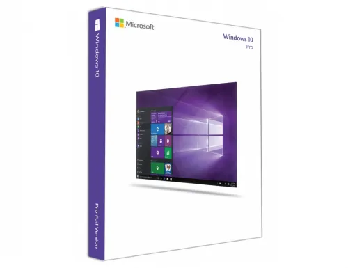 Microsoft Windows 10 Pro (OEM)