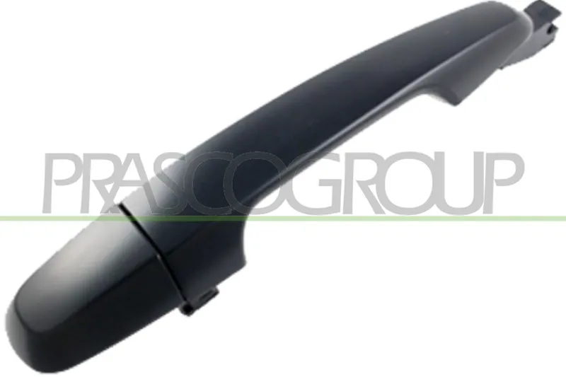 Dörrhandtag PRASCO MB8218113