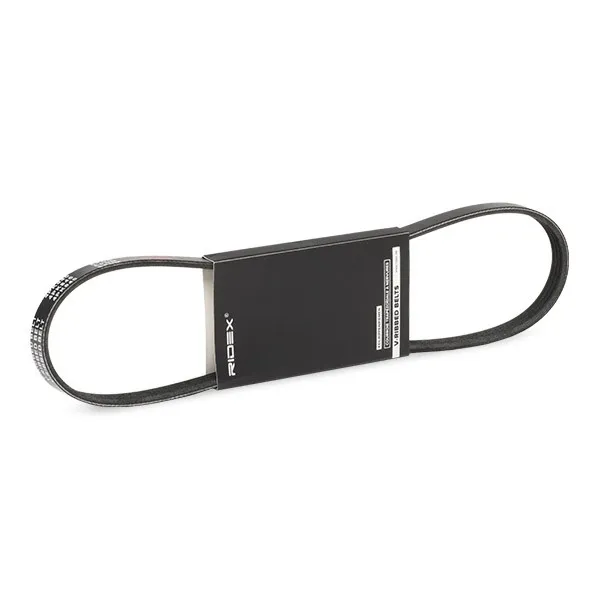 Multirem RIDEX 305P0124