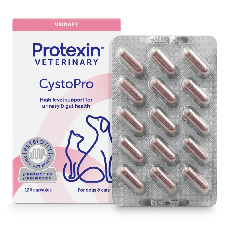 Urintillskott Protexin Cystopro Hund och Katt 120 st