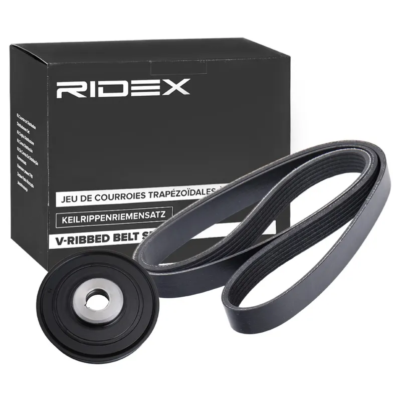 Drivremssats RIDEX 542R0745