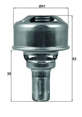 Termostat, kylvätska MAHLE TX 174 86