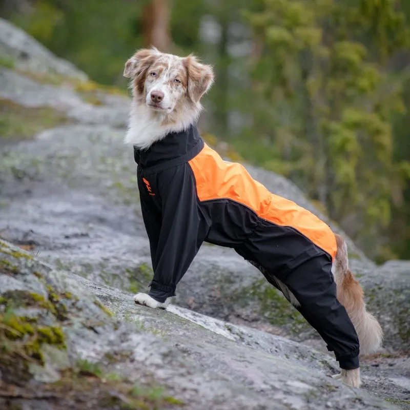 Feel Active Helsingborg Hundoverall Reflex Svart/Orange (#8119)