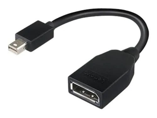 Lenovo Mini-displayport Till Displayport Adapter Mini Displayport Displayport Svart