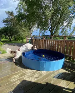 Hopfällbar hundpool, 160 cm