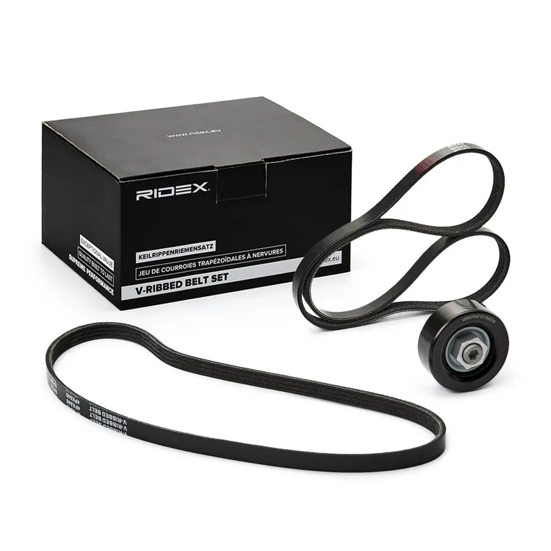 Drivremssats RIDEX 542R0446