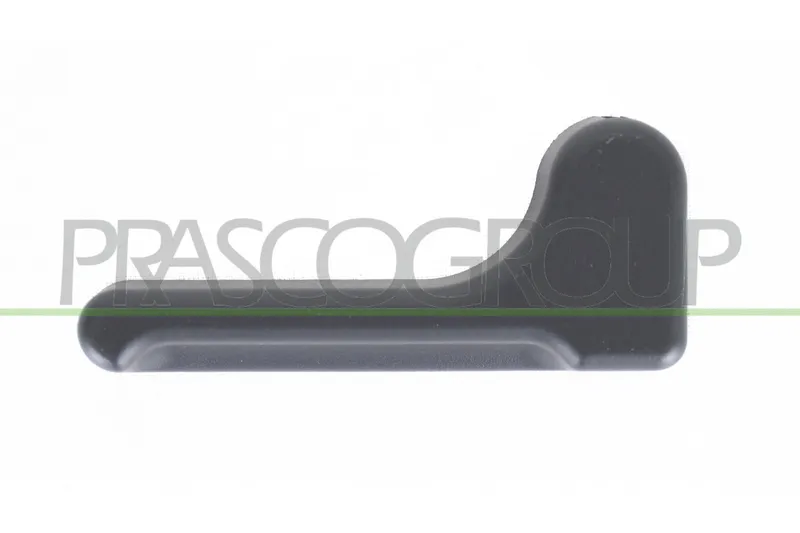 Dörrhandtag PRASCO ME9128311