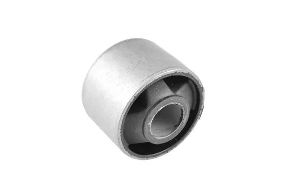 TEDGUM Fäste, differential, Bakaxel, Vänster - P1709292 - toyota rav 4 i, rav 4 ii, rav 4 cabrio i - OE 41651-42100, 41651-42101, 52380-42010