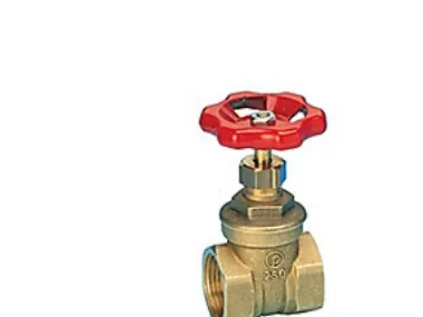 Pettinaroli Brass gate valve 1 1/4