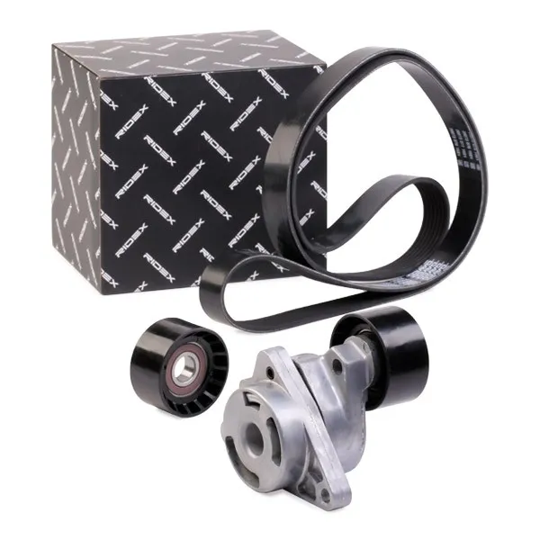 Drivremssats RIDEX 542R0282