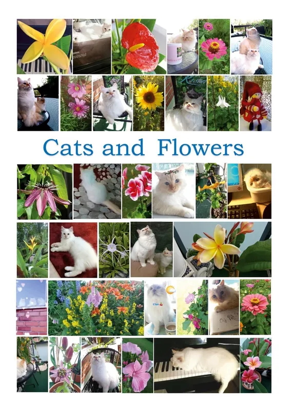 Cats and Flowers: 35 children song games, E-bok