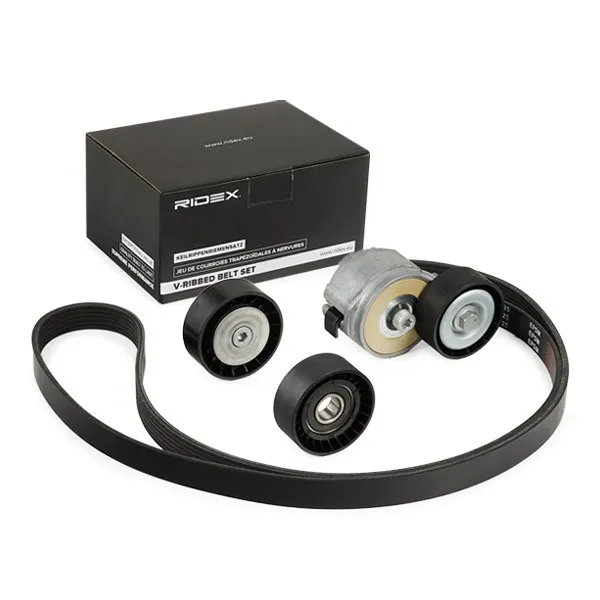 Drivremssats RIDEX 542R0206