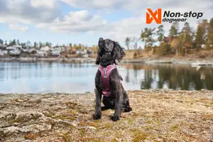 Ramble Hundsele Lila XL