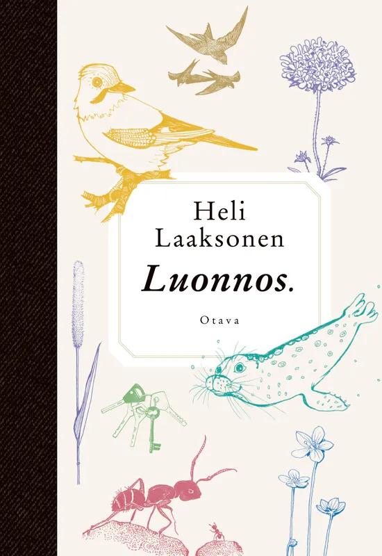 Luonnos, E-bok