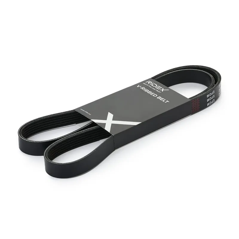 Multirem RIDEX 305P0544