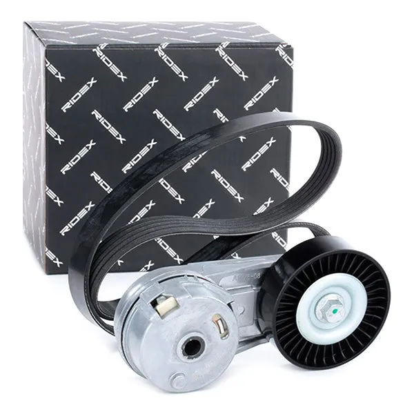 Drivremssats RIDEX 542R0013