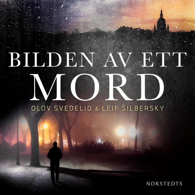 Bilden av ett mord, Ljudbok
