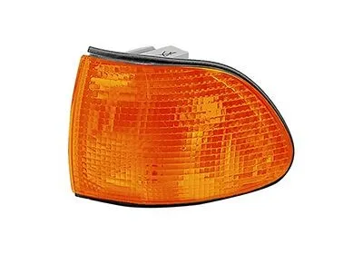 Blinker VAN WEZEL 0650903