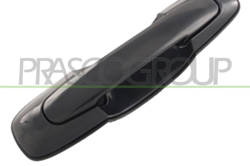 Dörrhandtag PRASCO SZ0548207
