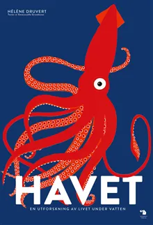 Havet : en utforskning av livet under vatten