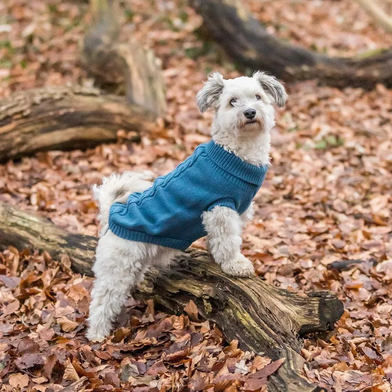 Trixie Kenton Hundtröja Blå
