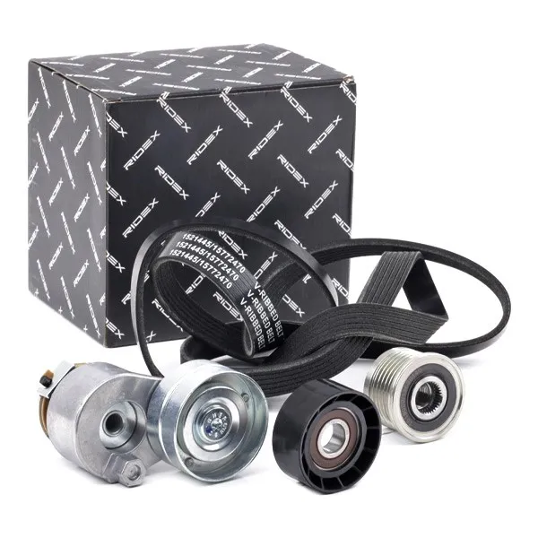 Drivremssats RIDEX 542R0732