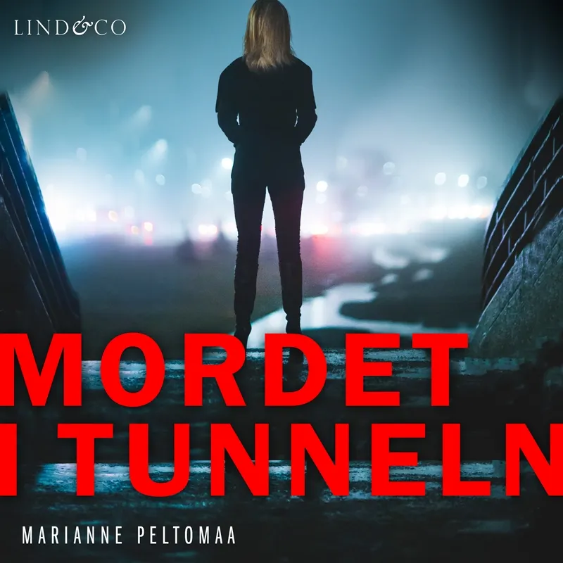 Mordet i tunneln, Ljudbok
