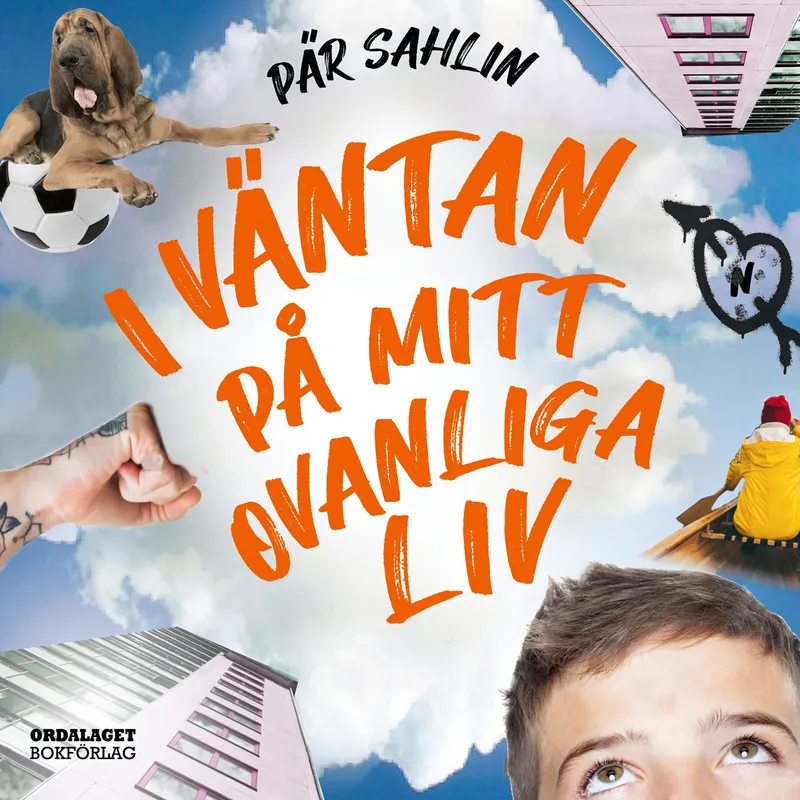 I väntan på mitt ovanliga liv, Ljudbok