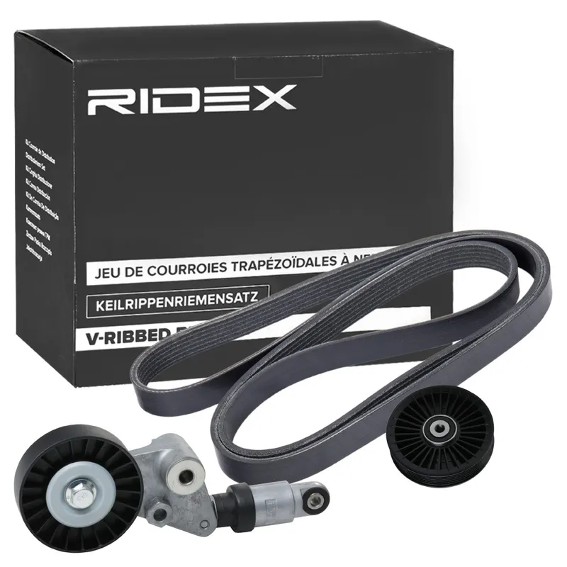 Drivremssats RIDEX 542R0411