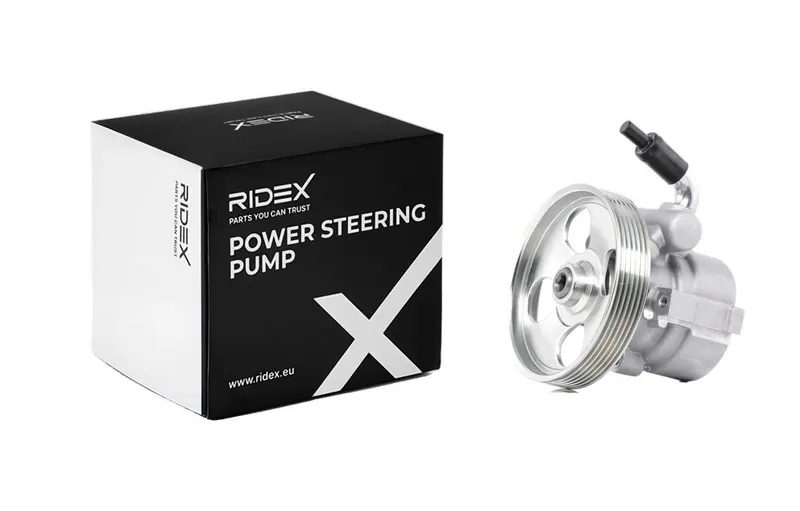 Servopump RIDEX 12H0069