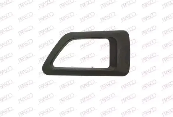 Dörrhandtag PRASCO CI9158702