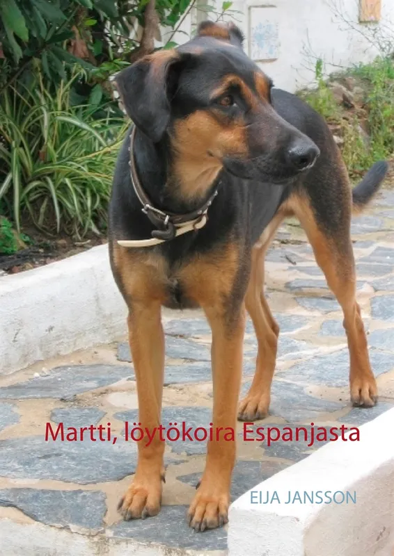 Martti, löytökoira Espanjasta, E-bok